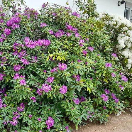 Bed and Breakfast Les Abelias Hauterive  Экстерьер фото
