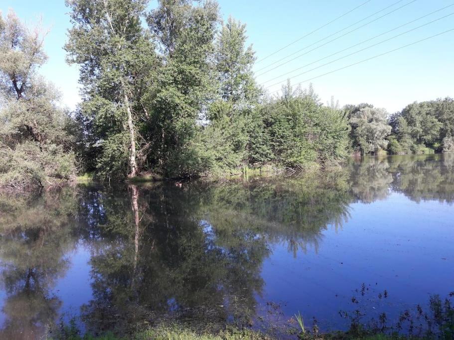 Bed and Breakfast Les Abelias Hauterive  Экстерьер фото