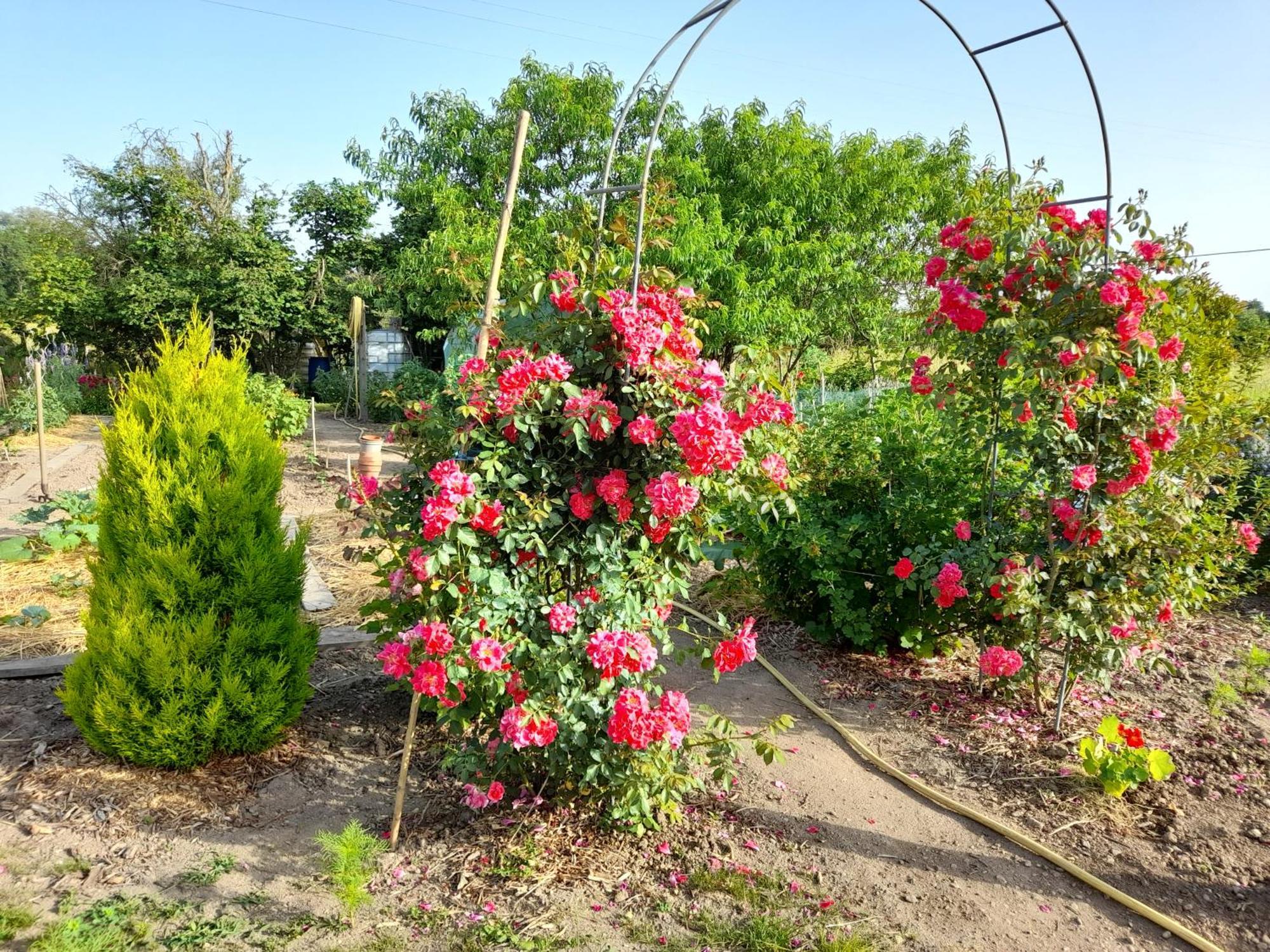 Bed and Breakfast Les Abelias Hauterive  Экстерьер фото
